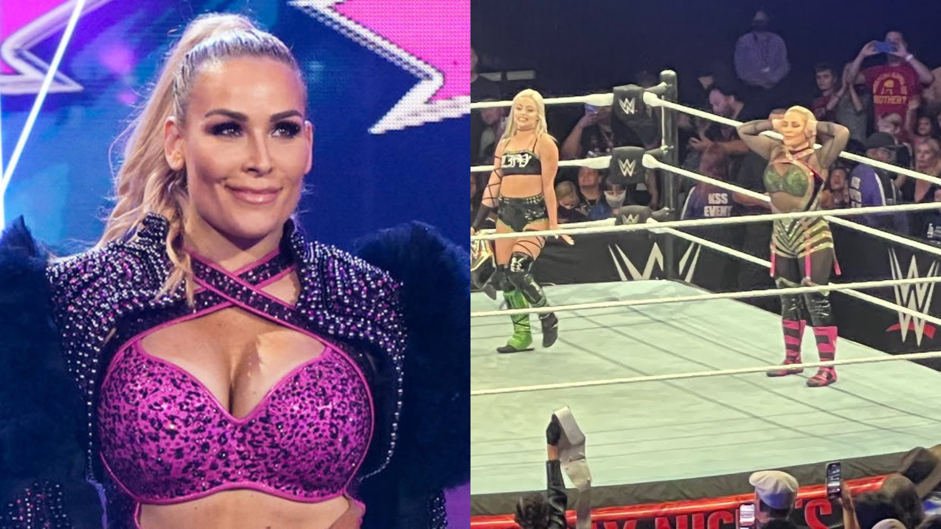 Read more about the article Natalya No Sells Match Finish At WWE Live Event