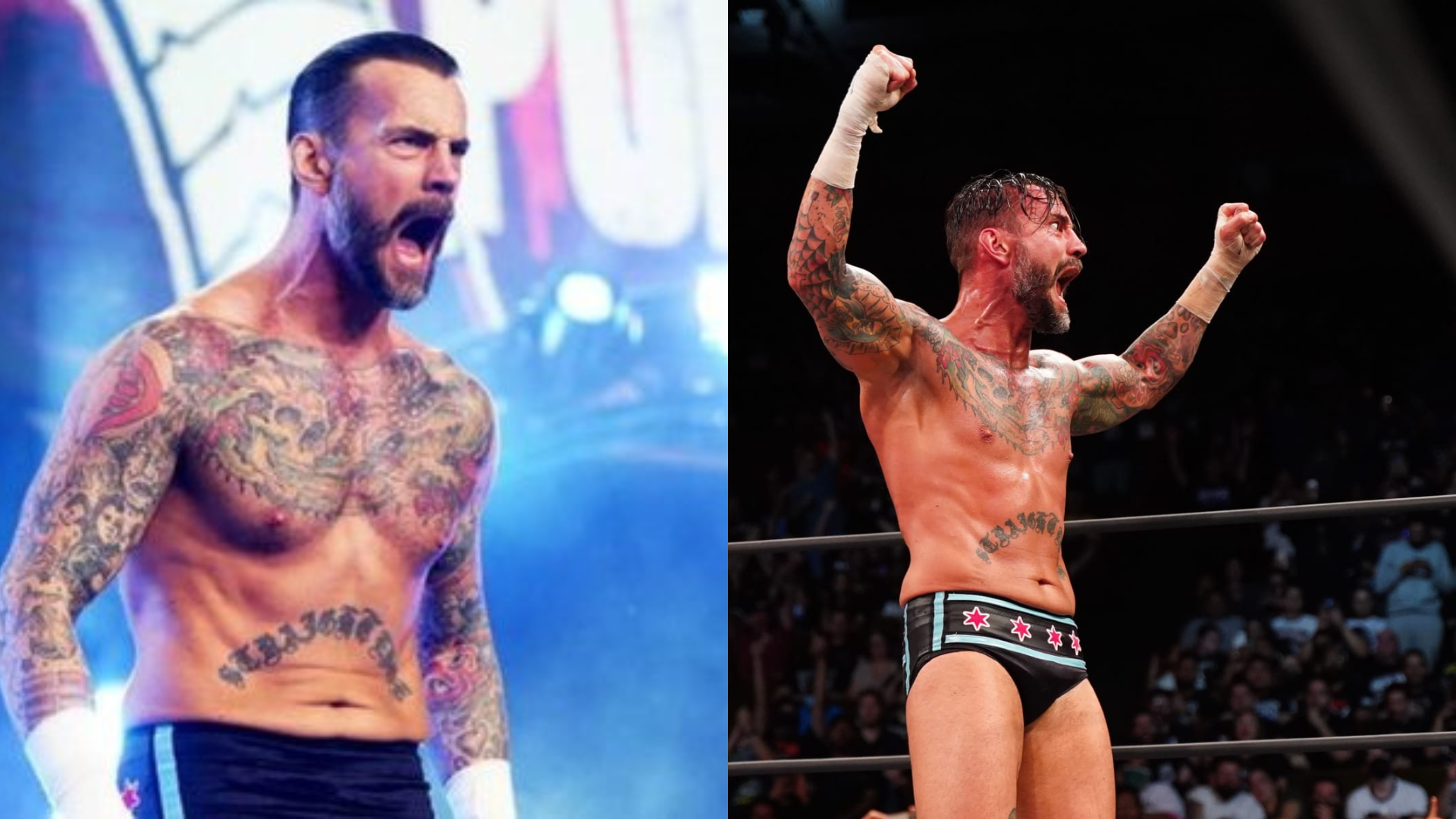 Read more about the article CM Punk Never Wrestling For AEW Again?