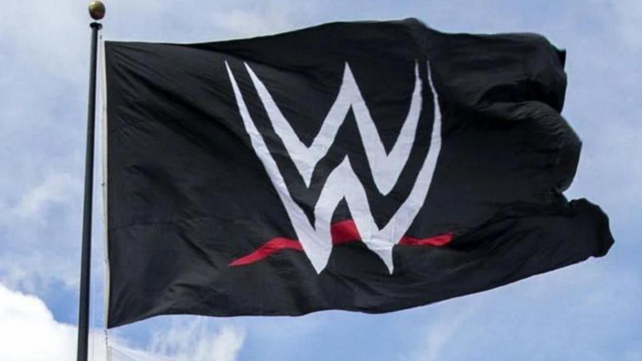 Read more about the article Why a WWE Sale is Huge Part One