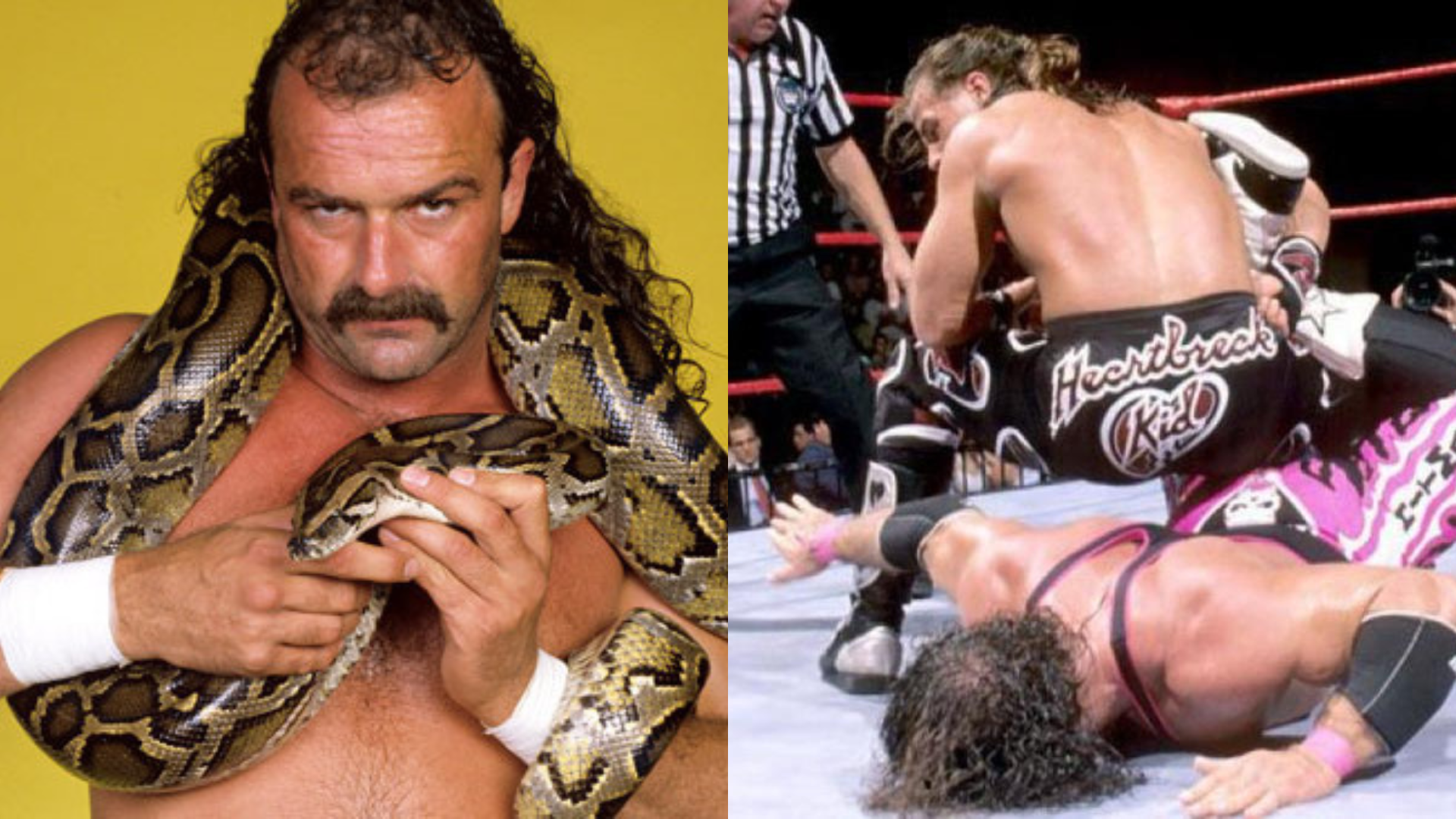Read more about the article Jake Roberts Claims Bret Hart Got What He Deserved In The Montreal Screwjob