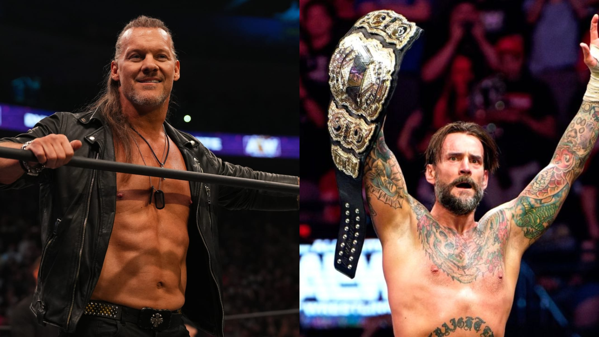 Read more about the article Is Chris Jericho The Latest Wrestler To Have Issues With CM Punk?