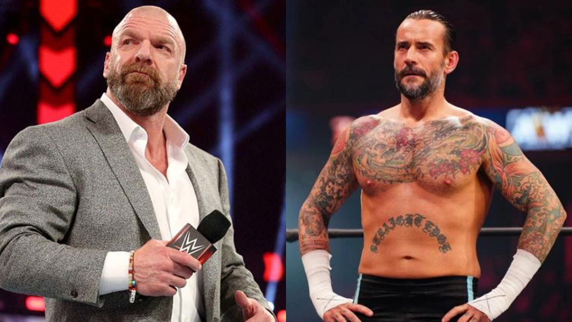Read more about the article Triple H Warned Against Bringing CM Punk Back