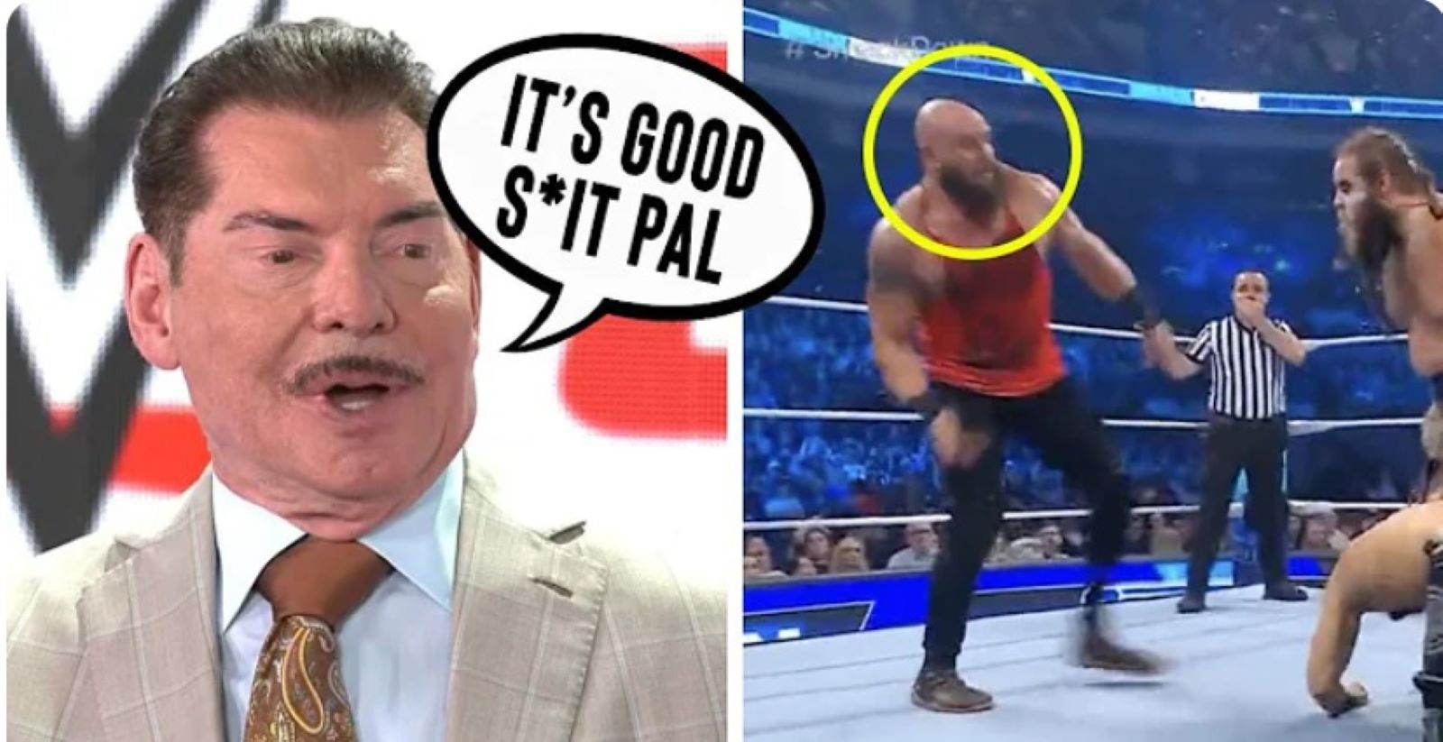 Read more about the article VIDEO: WWE Under Fire For Racism…Wanted Muslim Wrestler To Be Behind 9/11..Star Concussed..Wrestling News