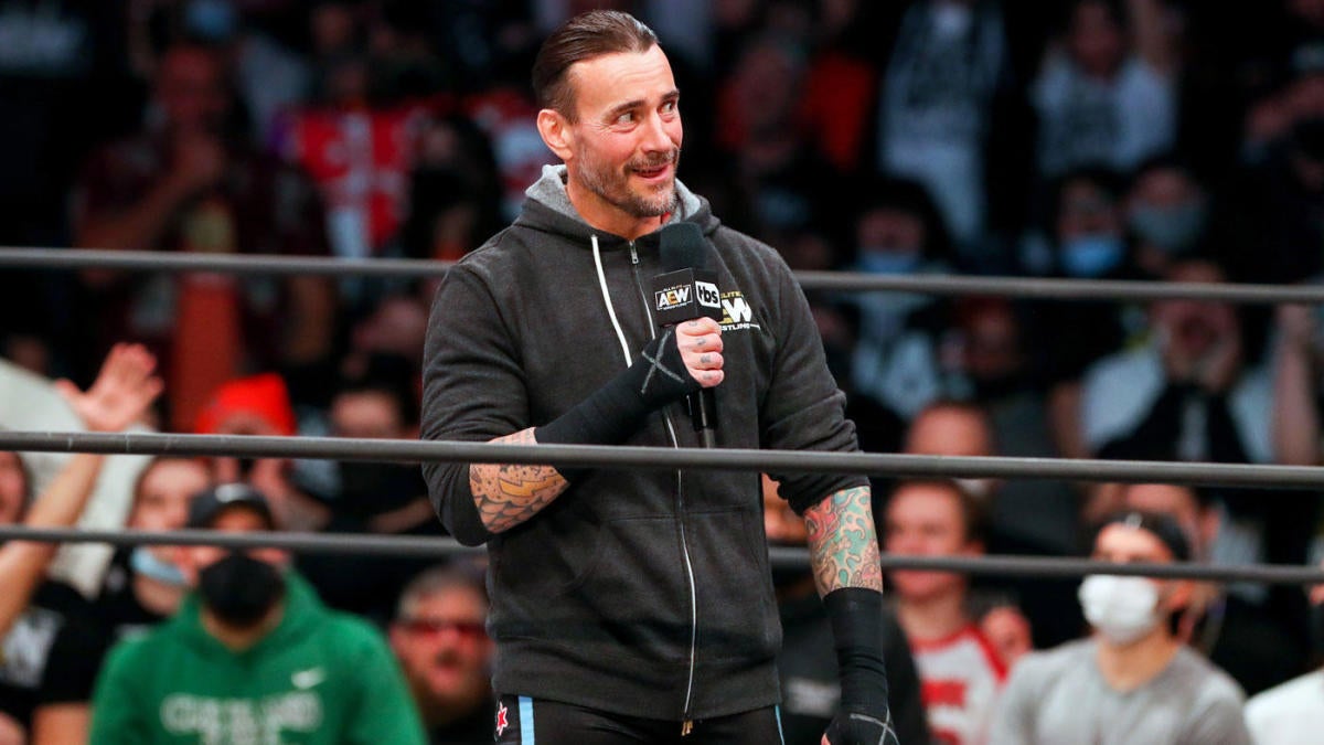 Read more about the article AEW Fires CM Punk